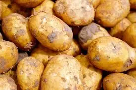 Le potager de Babette 